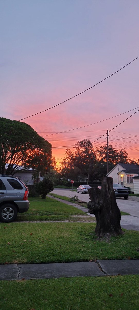 MichelleCoste1's tweet photo. Yesterday morn https://t.co/bdjNlYFFit