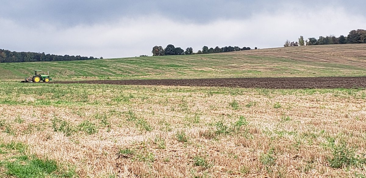 JessicaBrown650's tweet photo. Another day in the field for the kids.. learning with the #4h club @4HOntario @4HCanada #IRunWithHT @deeredoc_35677 https://t.co/dvxyHJpmjI