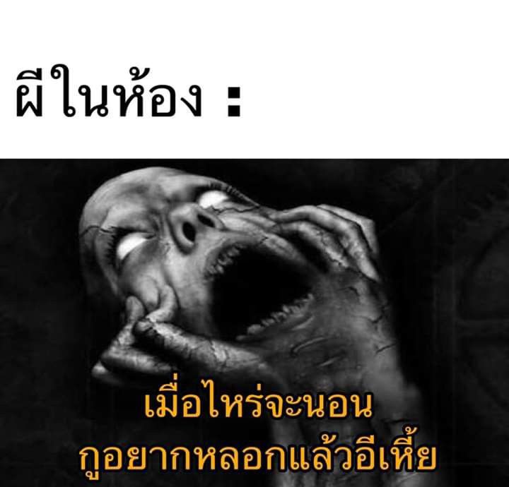 S. tweet media