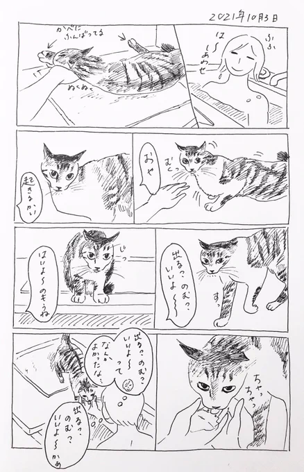 2021/10/3のぎんちゃん #今日のぎんちゃん 