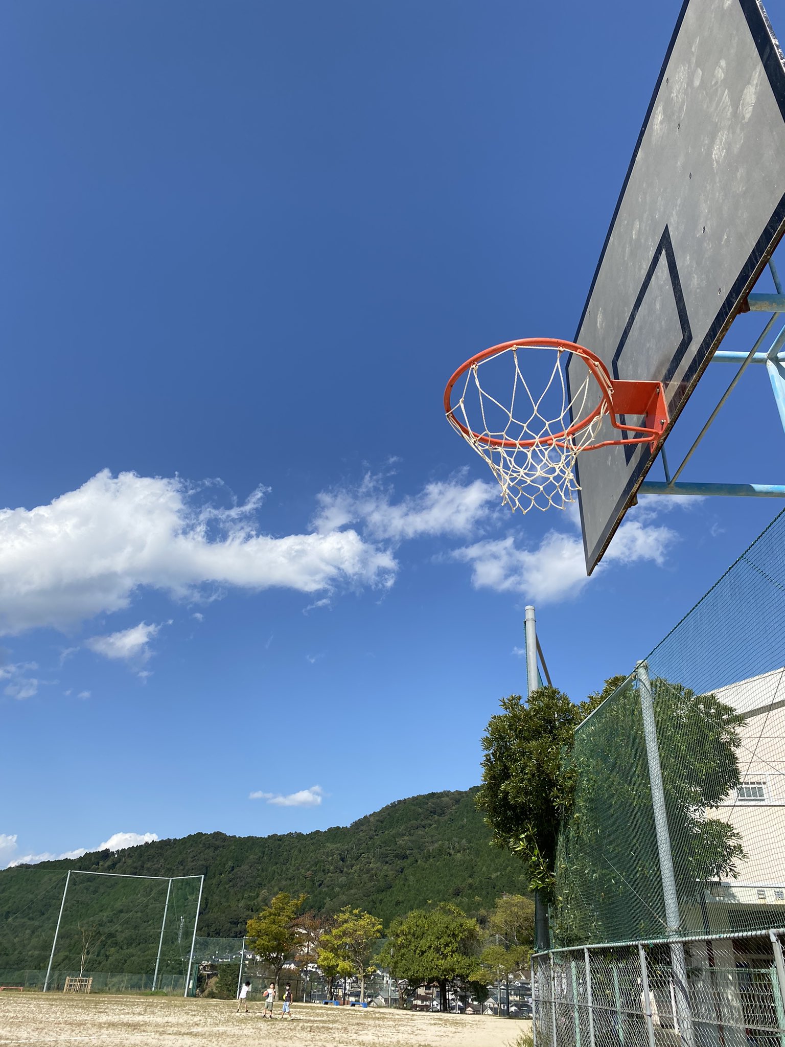 バスケ部 Twitter Search Twitter