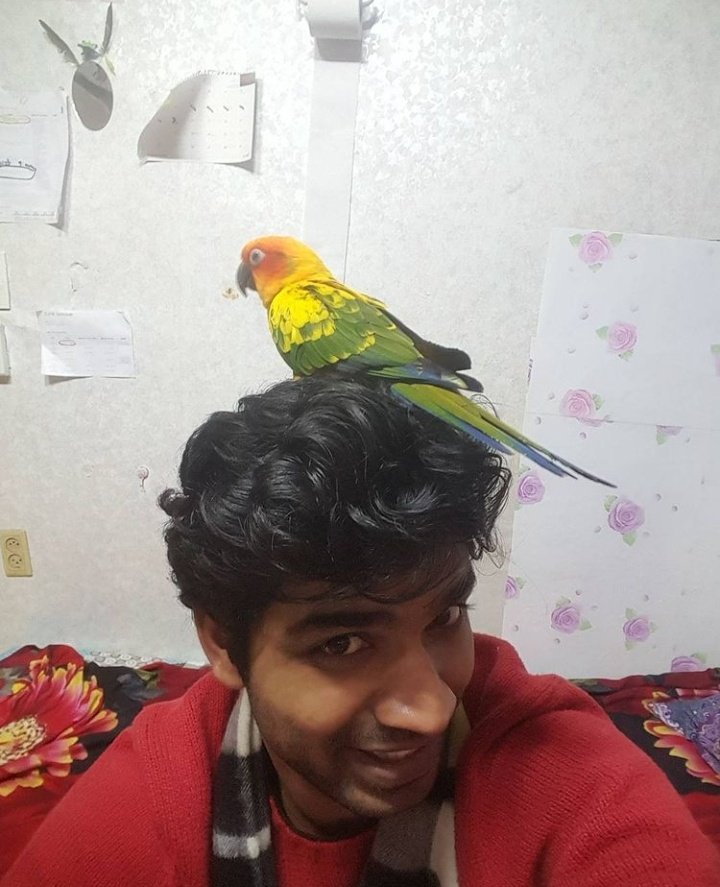 Anupam Tripathi pics (@anupampics) on Twitter photo 