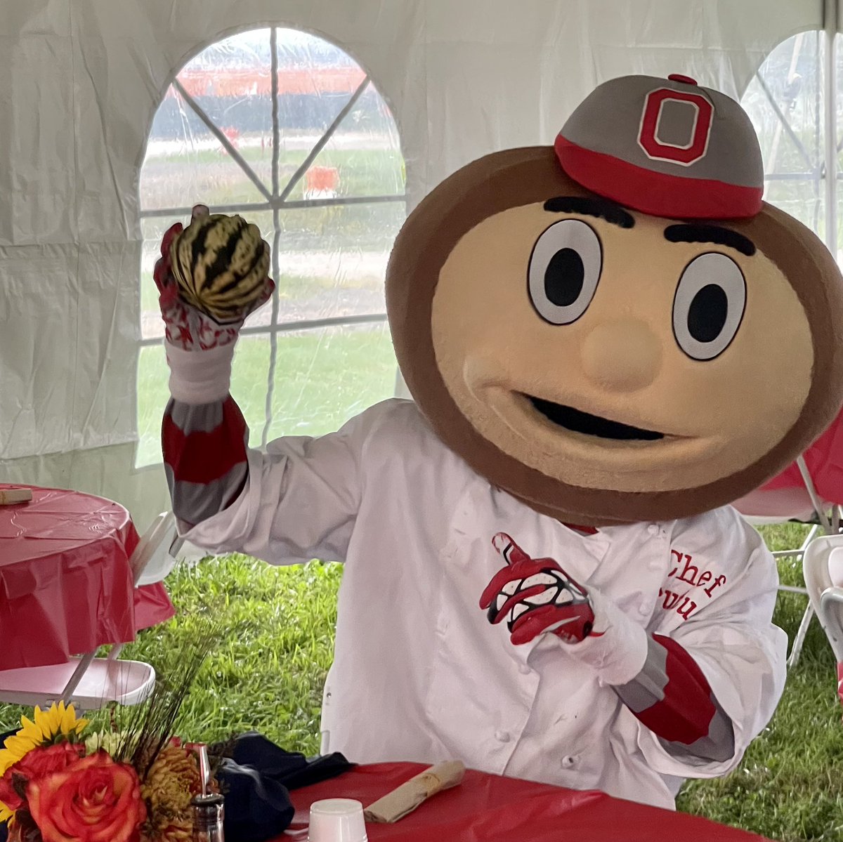 grows_hope's tweet photo. We had so much fun at the “Farming for Champions” event for @buckeyethon families today at Waterman Farm! Chef @Brutus_Buckeye loves loves the #garden! @ColleenSpees #forthekids #buckeyethon #farmingforchampions https://t.co/zQsWLZJczP