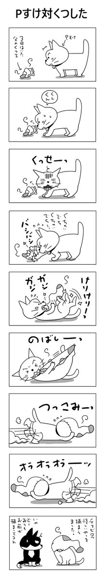 Pすけ vs くつした
#こんなん描いてます
#自作マンガ #漫画 #猫まんが 
#4コママンガ #NEKO3 