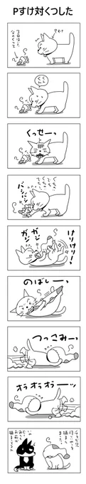 Pすけ vs くつした#こんなん描いてます#自作マンガ #漫画 #猫まんが #4コママンガ #NEKO3 