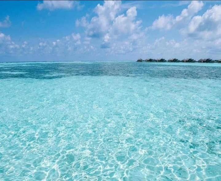 AramburuMorelia's tweet photo. Hermosa postal, es el mar Caribe. Pará los amantes del mar. 🌴🌴🌴 https://t.co/PywqoNILSf