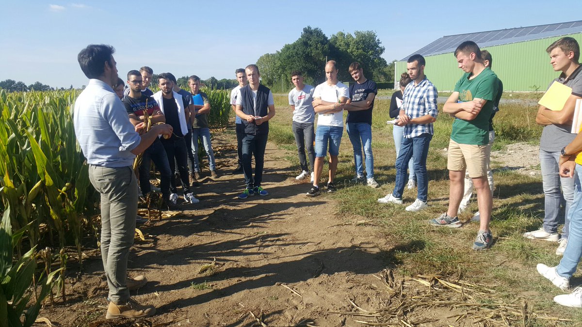 GuillaumeESA's tweet photo. Un grand merci à Benoît Bulot et à Norman Orluc @NormanOrluc @Limagrain pour la qualité de leur intervention auprès de nos #BTSAPV @Groupe_ESA au coeur du mais semences ! #mais #semences https://t.co/WSquRXNhCX