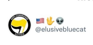 BBModularSynth's tweet photo. The sticker pictured on the front of this protesters ipad, is one spread by the local White Rose. Andrea LaMacchia, AKA ElusiveBlueCat AKA Liberty Watchmen, prints and distributes these stickers mostly in the city of Buffalo. Tear them down if you see ones like the picture below. https://t.co/LR1A10eHkD