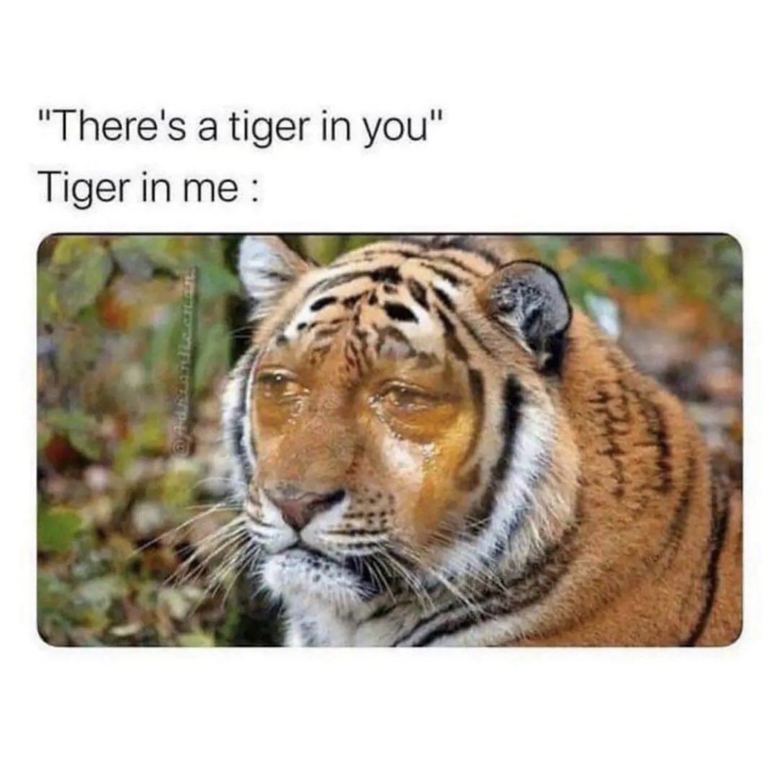 introvertsmemes's tweet photo. https://t.co/0AAUibSPKH