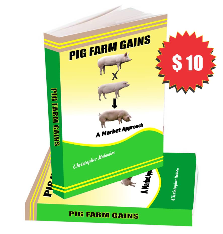 PRIME PORK (U) LTD tweet media