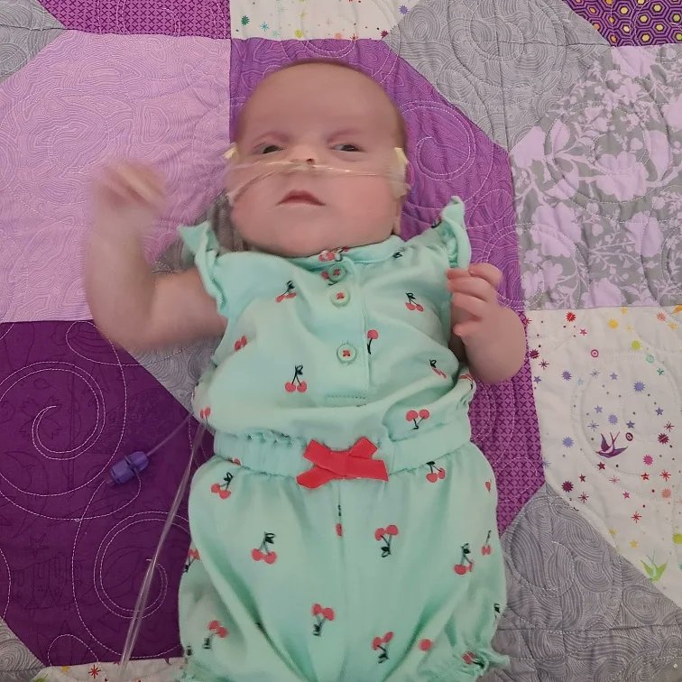 Justin Bise tweet media