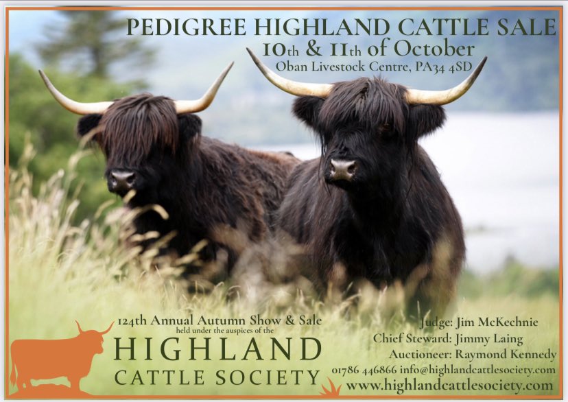 Autumn Show &amp; Sale at the Oban Livestock Centre in Argyll. 

Oban is the home of the Highland Cattle sales and a great place to start your fold with so many experienced breeders in attendance.

See you there.

#highlandcow #highlandcattle #obansale2021 #highlandcattlesociety