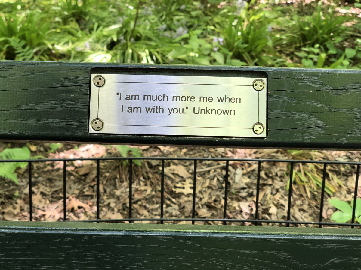 _pablinux_'s tweet image. New York- Central Park  2019