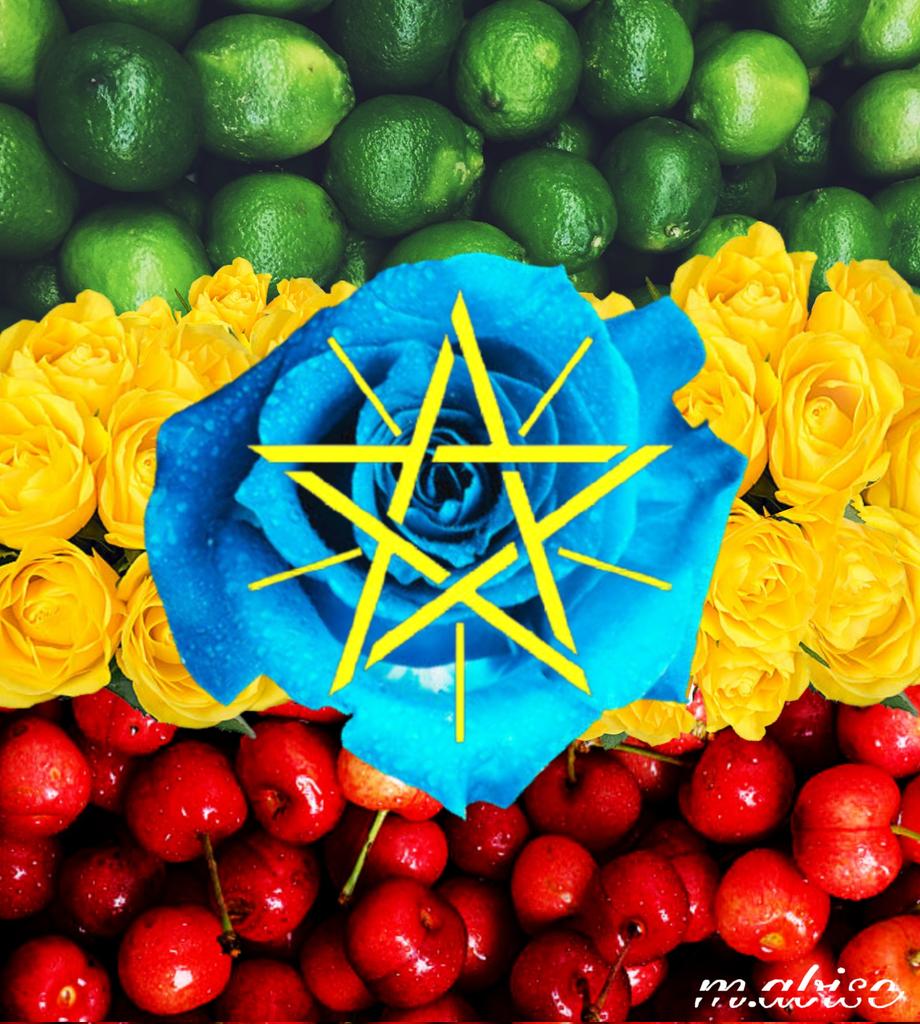 AbiselomM's tweet photo. 🏵️ 𝘐𝘮𝘮𝘦𝘳𝘴𝘦𝘥 𝘐𝘯 𝘵𝘩𝘦 𝘔𝘪𝘹 𝘰𝘧 💚💛❤️
🇪🇹 ኢትዮጵያ - #Flag, 📸
#AddisAbaba || #Ethiopia 🇪🇹

🖼️ #PhotoManipulation by @AbiselomM https://t.co/uFJ8OIXif0