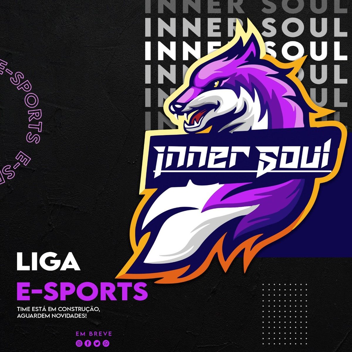 Inner Soul tweet media