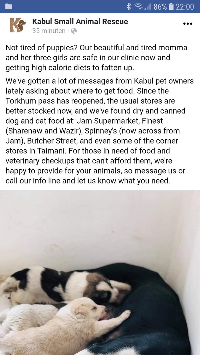 missjea's tweet photo. 💜💜💜In absolute awe of KSAR. In time of need they don't only offer to provide for strays but also for pets and their owners. The selflessness of it all. 💜💜💜#KSARareinourhearts #WeStandWithCharlotte https://t.co/6hKHKwzQiz