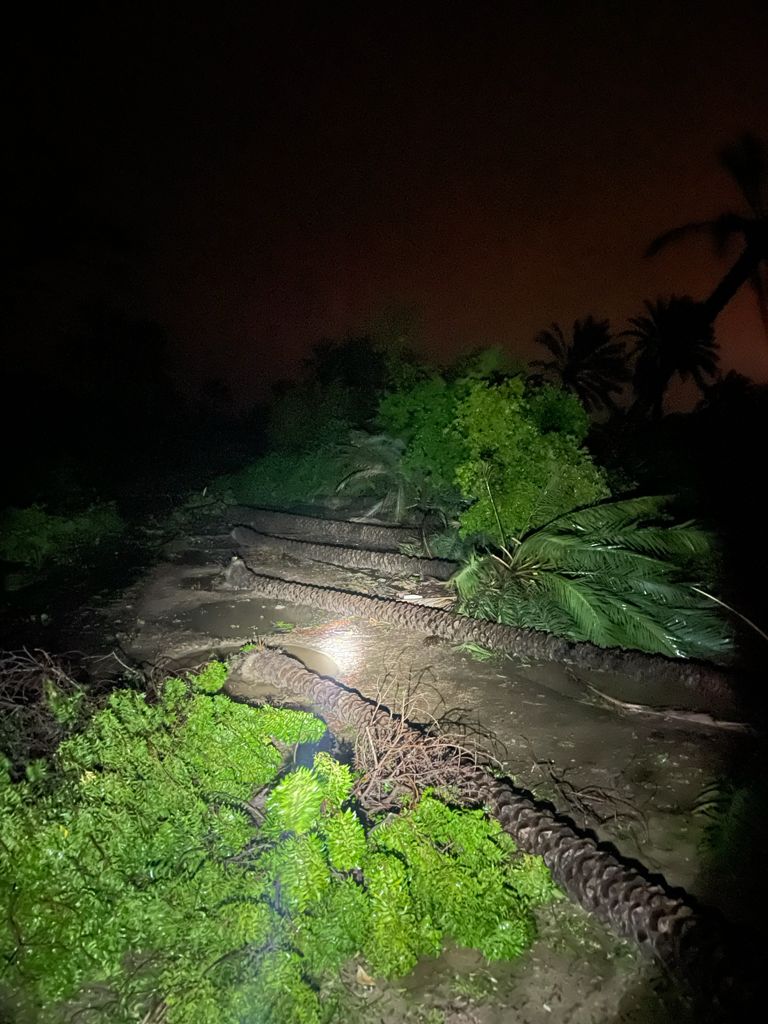 الصورة