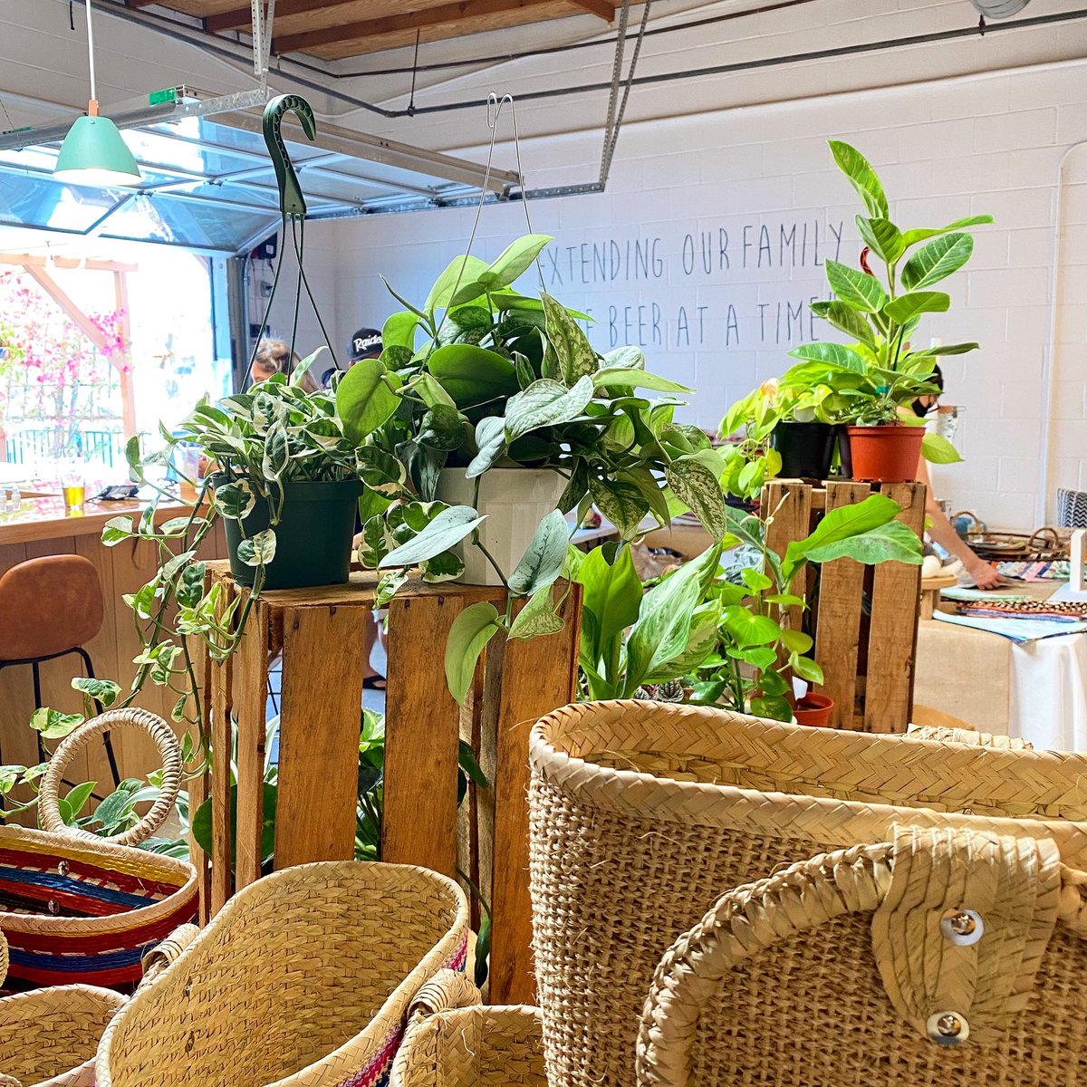 Surfridge Brewery tweet media