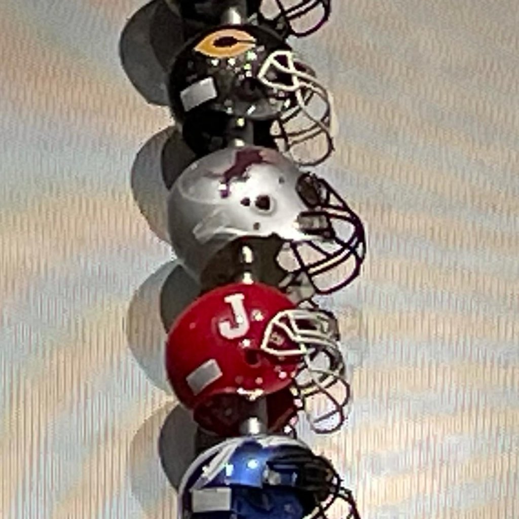 MLKingHS tweet media