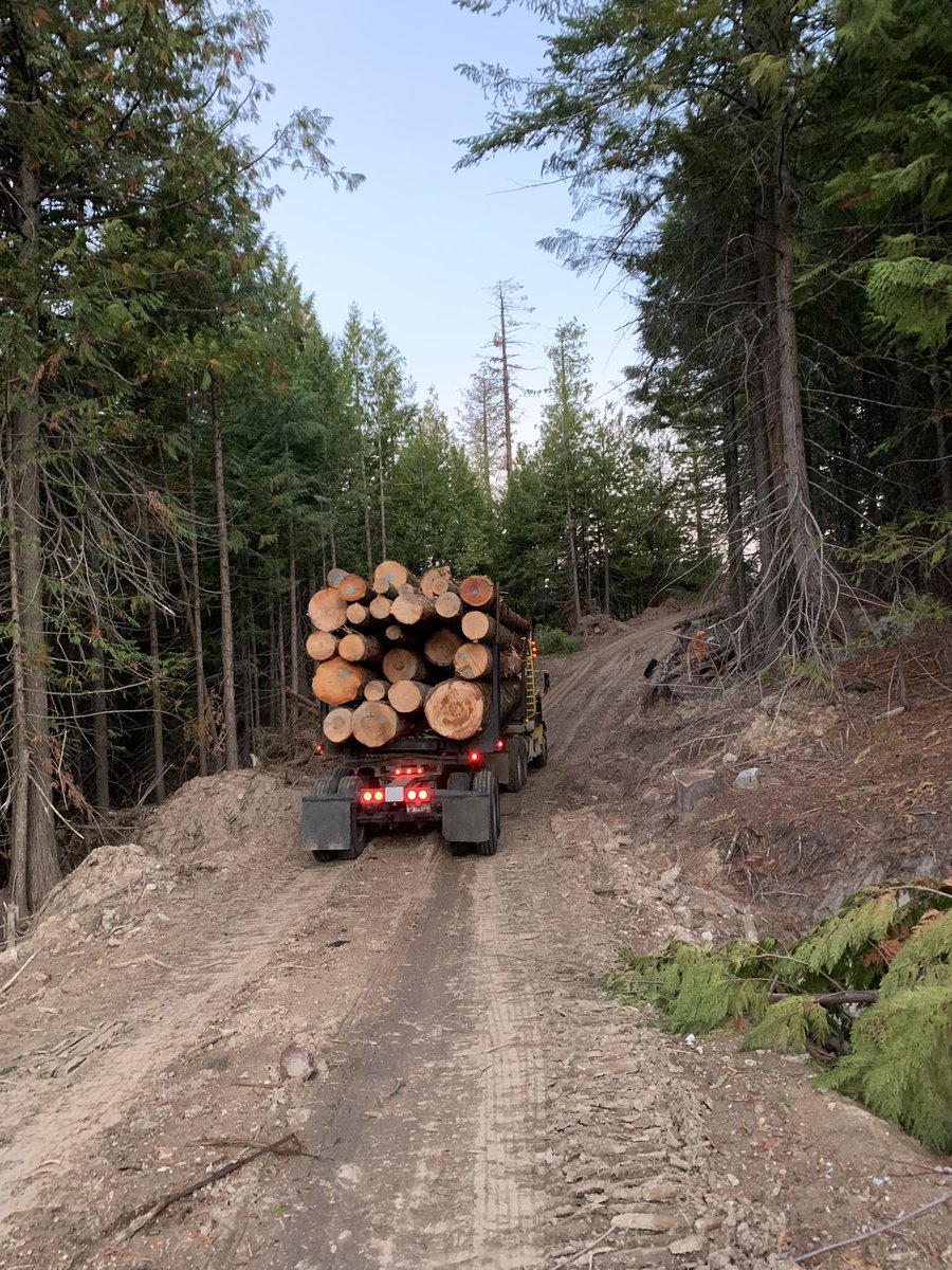 LoggingStaton's tweet image. Call with any questions 2086691766