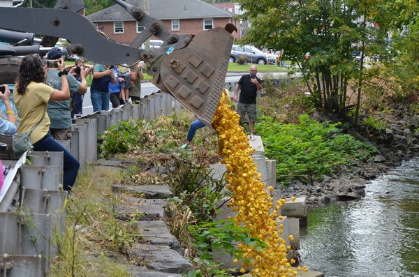 BristolCtNet's tweet photo. 2021 Pequabuck Duck Race, 200+ pictures can be seen on https://t.co/AJ9xHQ91CV https://t.co/4oUMXmEdiH