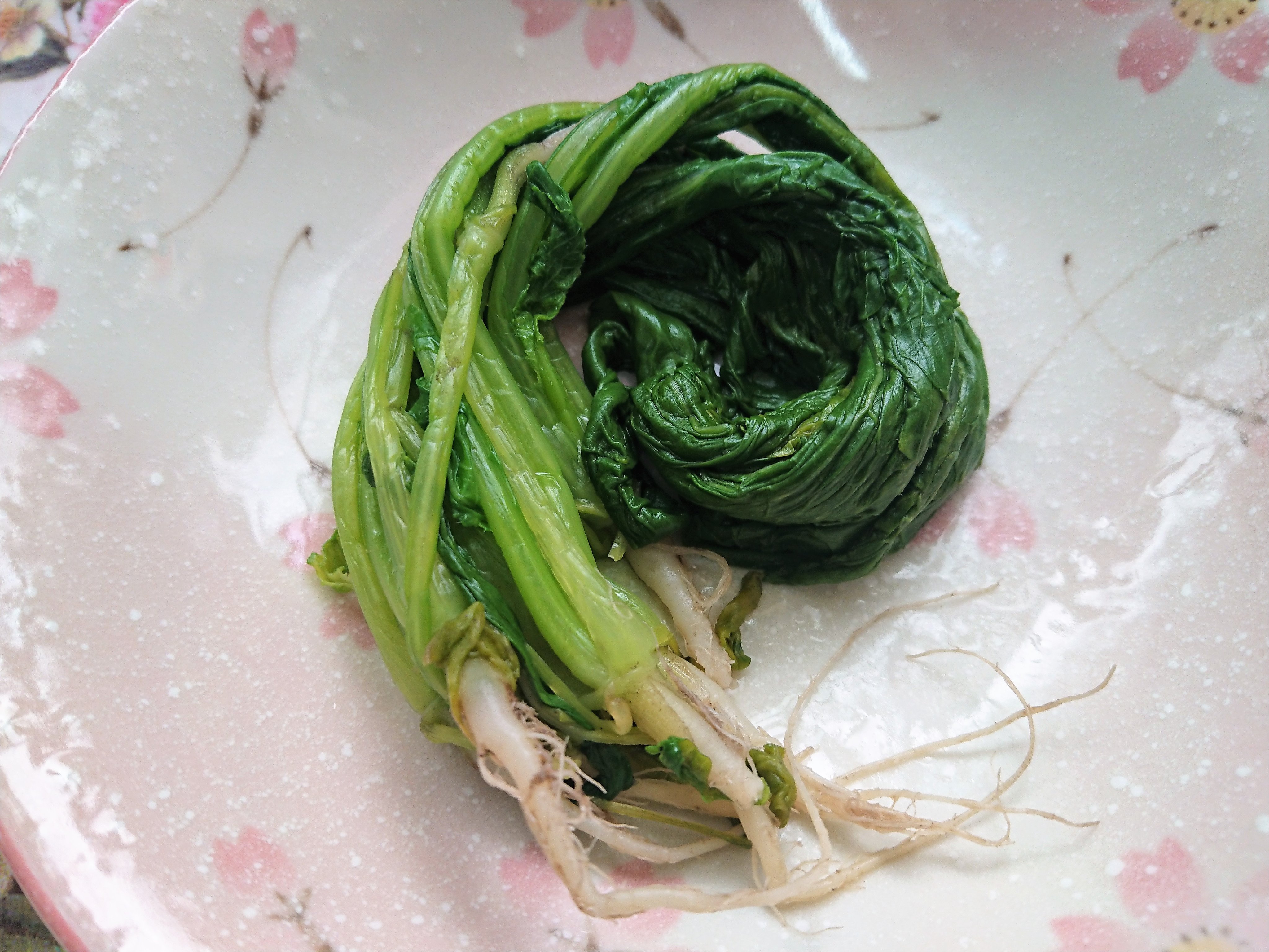 おとおさん 会話は無しでおねがいします 野沢菜の間引き菜 のおひたしでございます長さはセンチ位で白い根の部分は大きくなると小さなカブになります野沢菜はカブの品種のひとつです 野沢菜 上田市 Instafood 美味い 野沢菜の間引き菜 シンプル