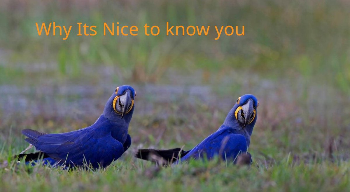 Phoenix Velo tweet media