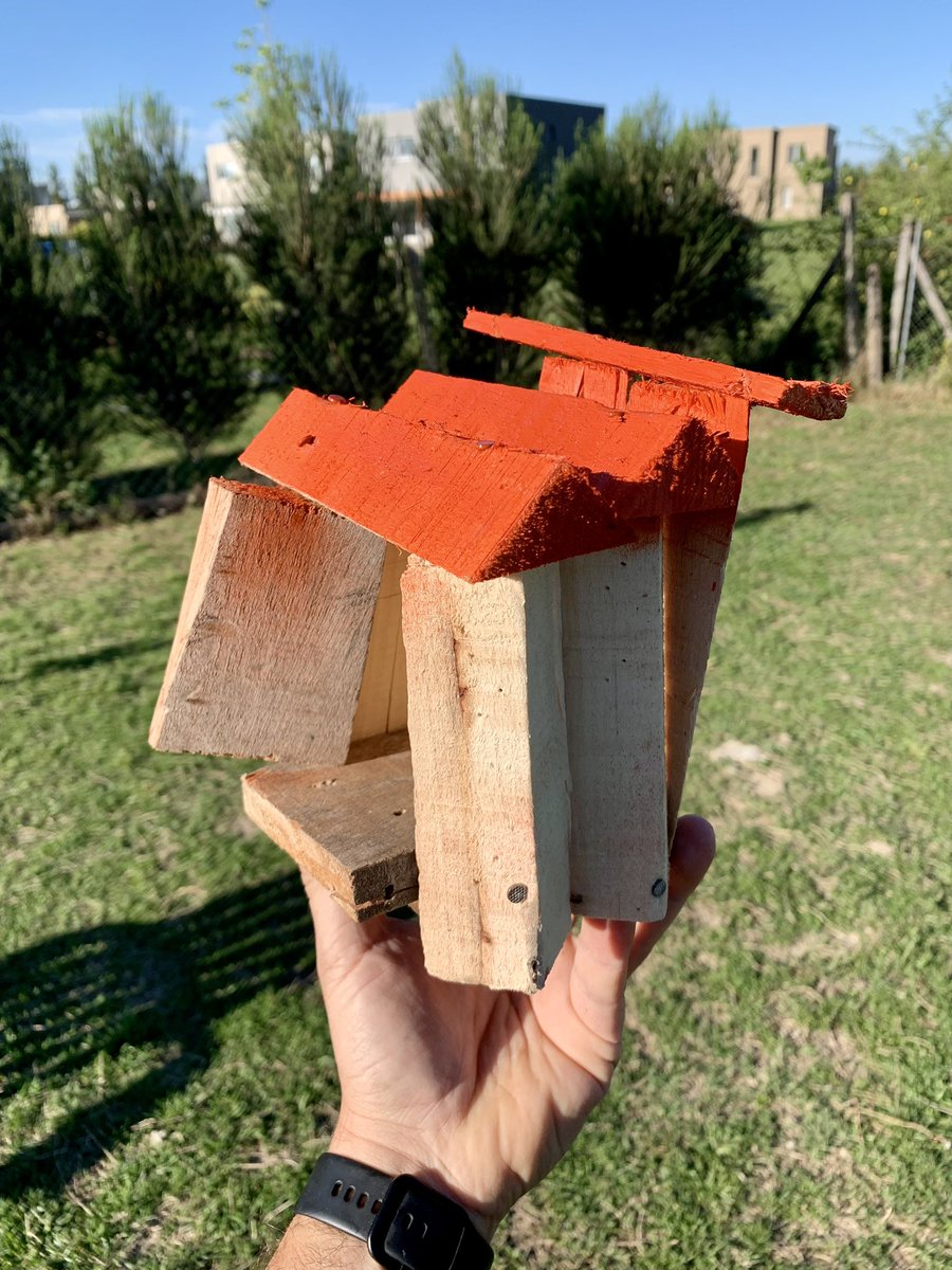 Si no sabe de ‘Casita de Pajaritos’ no opine 🕊