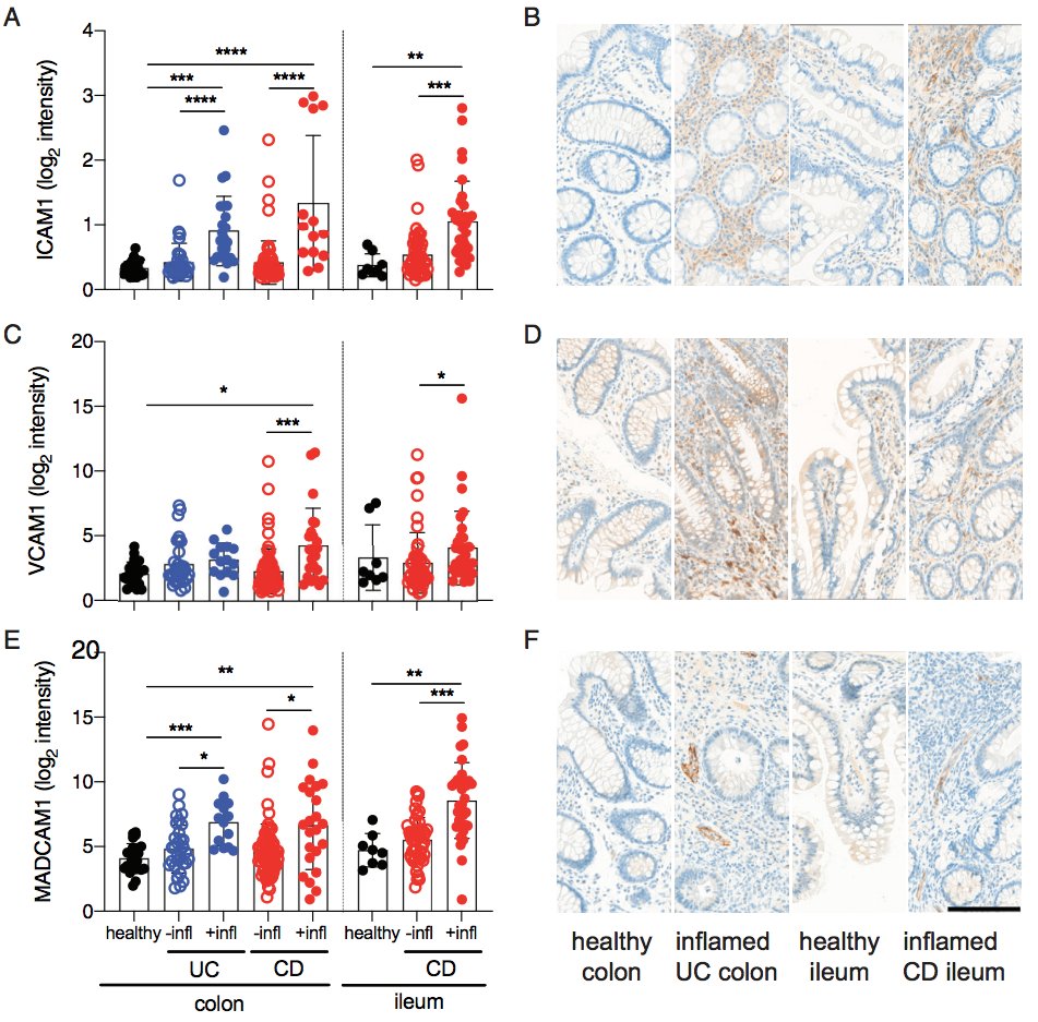 Chris Lamb tweet media