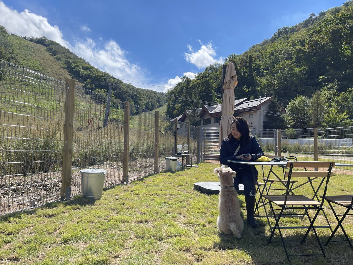 yuj1046's tweet photo. 용평리조트 안에 생긴 강아지 운동장&amp;라운지, 웨그빌리지🐶앉아있음 태리도 나도 힐링된다. 근데 왜 신프로는 졸지? 너무 힐링되서 그런가? https://t.co/P7BB1If3Hg