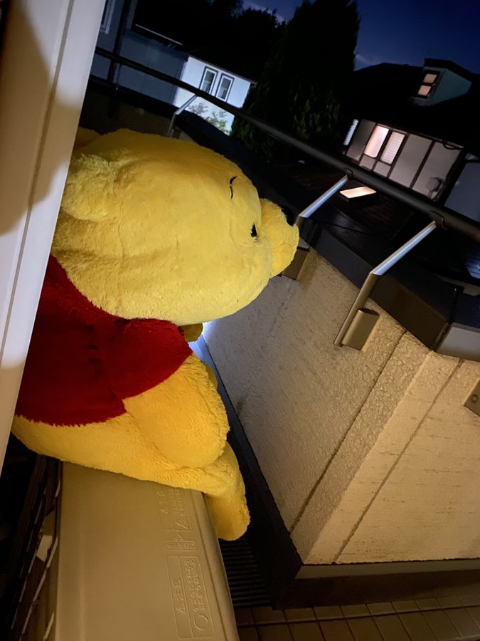 洗濯してド忘れ ベランダのプーさんが切なすぎる おたくま経済新聞