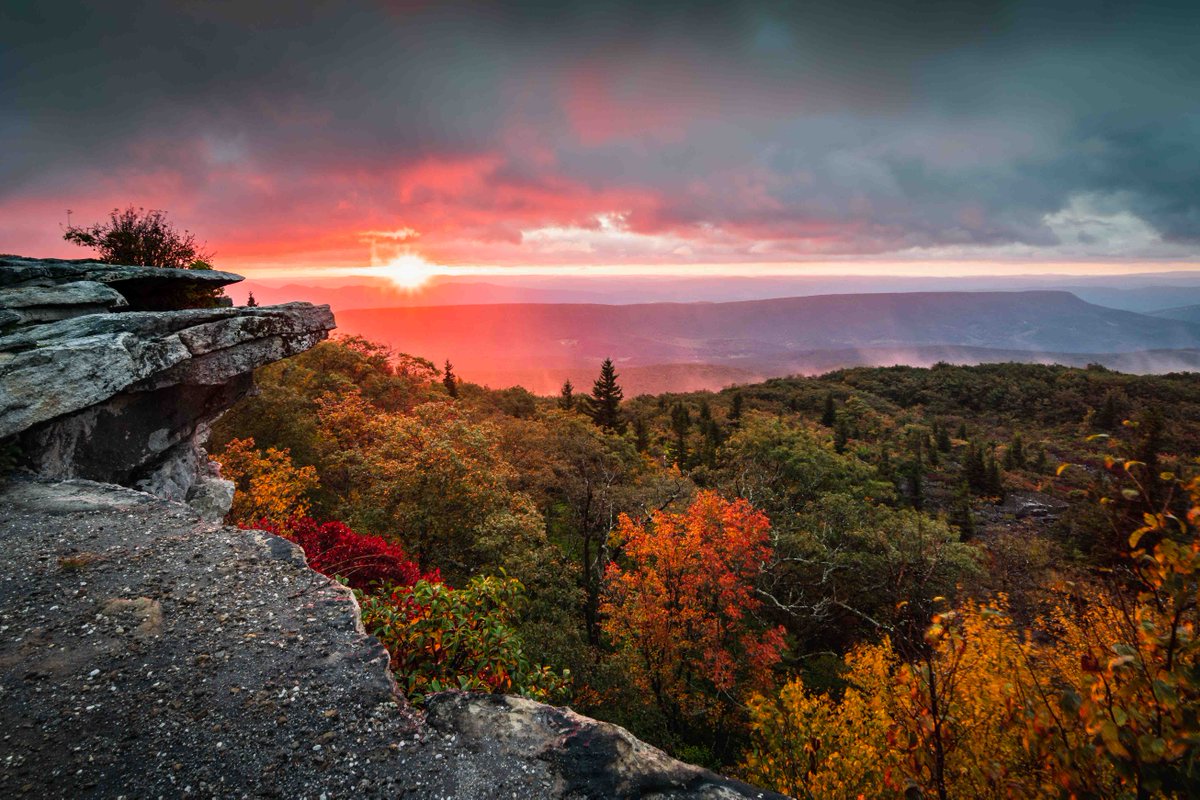 TuckerCounty_WV (@tuckercounty_wv) on Twitter photo Take in a fresh perspective of Dolly Sods as the author of this <a href="/washingtonpost/">The Washington Post</a> article finally gets her day in Dolly Sods Wilderness.
Check out the article here. 👉 wapo.st/3mozy3x
#gettuckered #almostheaven #dollysods Take in a fresh perspective of Dolly Sods as the author of this <a href="/washingtonpost/">The Washington Post</a> article finally gets her day in Dolly Sods Wilderness.
Check out the article here. 👉 wapo.st/3mozy3x
#gettuckered #almostheaven #dollysods