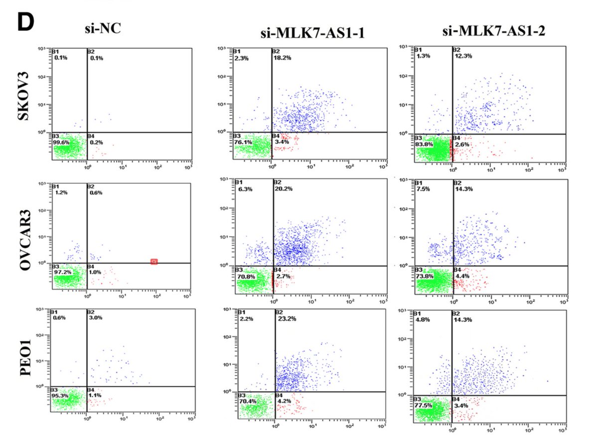 MicrobiomDigest's tweet image. #ImageForensics - #FlawCytometry edition. 
This paper was retracted for problems in another figure, but nothing was mentioned about this set of panels. Can you spot it?
pubmed.ncbi.nlm.nih.gov/30249278/