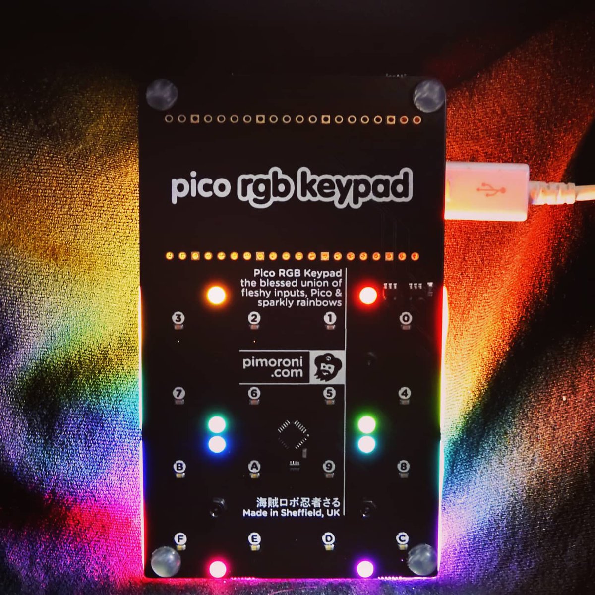Black_Lab_fr's tweet image. Shoots dans la Photobox, avec le Nikon P900. 

#RaspberryPico #Pico #Pimoroni #nikon #nikonp900 #P900