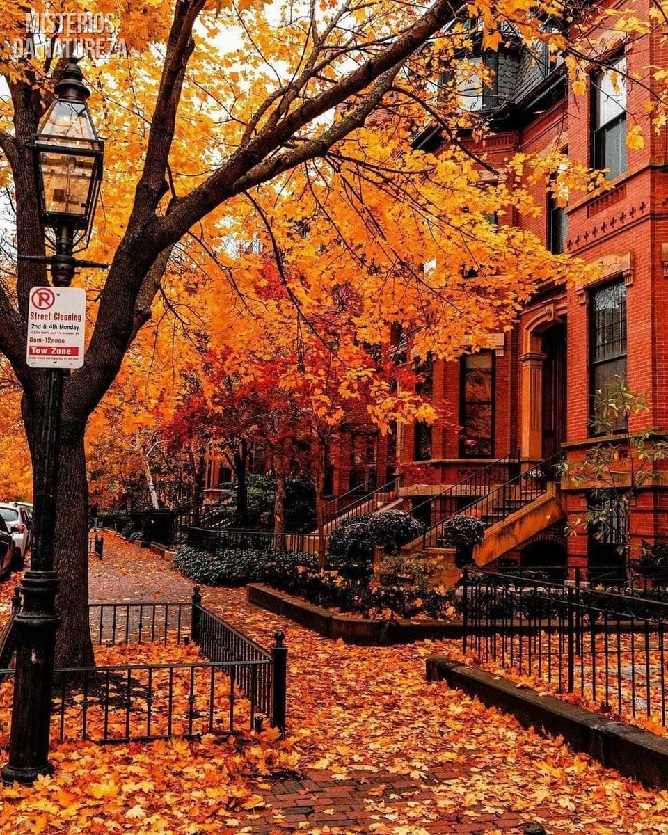 DailyEngCo's tweet image. Usa