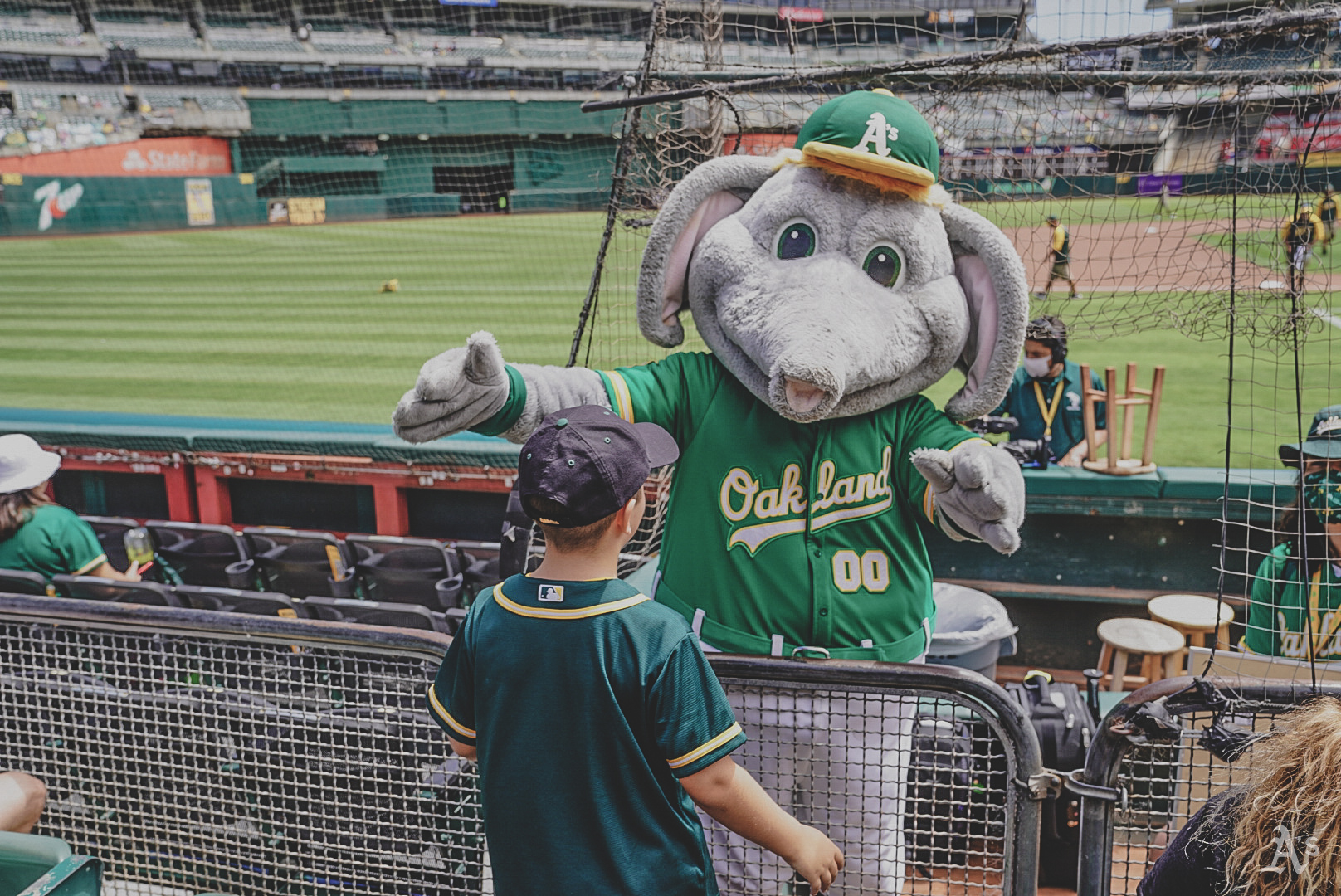 Stomper Oakland Athletics 3D Brxlz Mascot Stomper Oakland Athletics 3D Brxlz Mascot