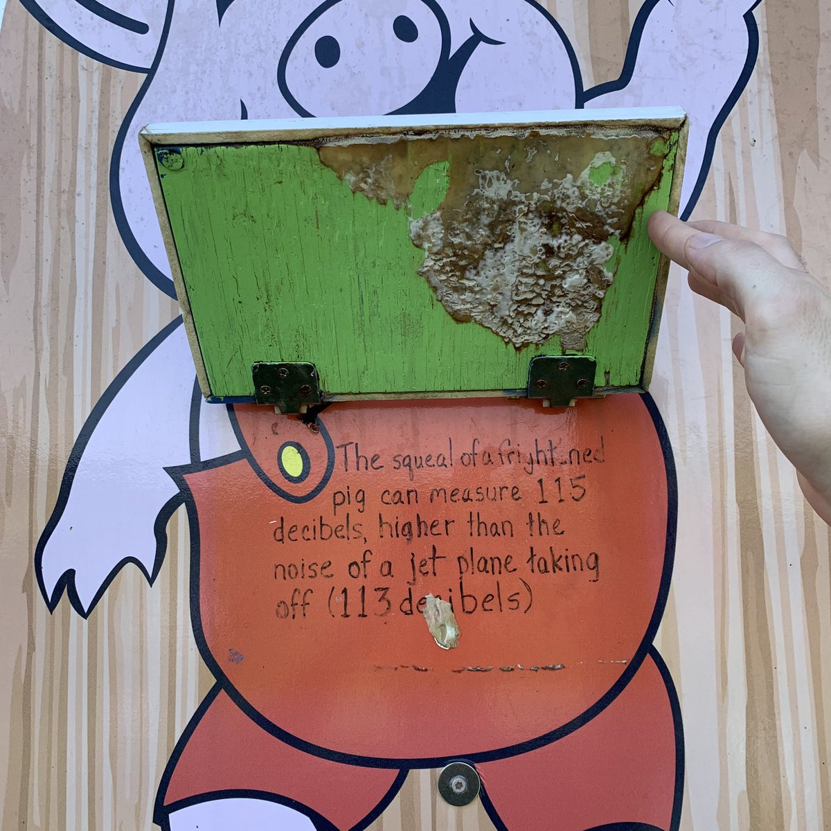 The same image as the last, but a hand is opening the hinged panel. Beneath it reads “The squeal of a frightened pig can measure 115 decibels, higher than the noise of a jet plane taking off (113 decibels)” The bottom of the flipped up panel appears to be rotting.