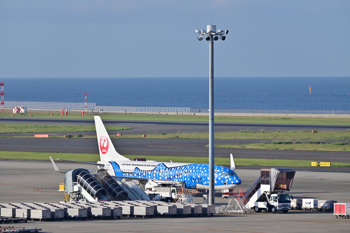 中部国際空港セントレア オープンスポットにはjtaのジンベエジェットと憩うよ沖縄塗装の機体が駐機していました ジンベエジェットは珍しく国際線側のオープンスポットです Jtaの塗装 毎朝の楽しみです セントレア 中部国際空港セントレア オープンスポットにはjtaのジンベエジェットと憩うよ沖縄塗装の機体が駐機していました ジンベエジェットは珍しく国際線側のオープンスポットです Jtaの塗装 毎朝の楽しみです セントレア