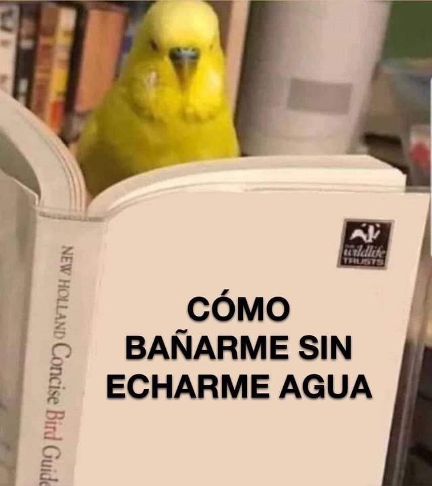 😂