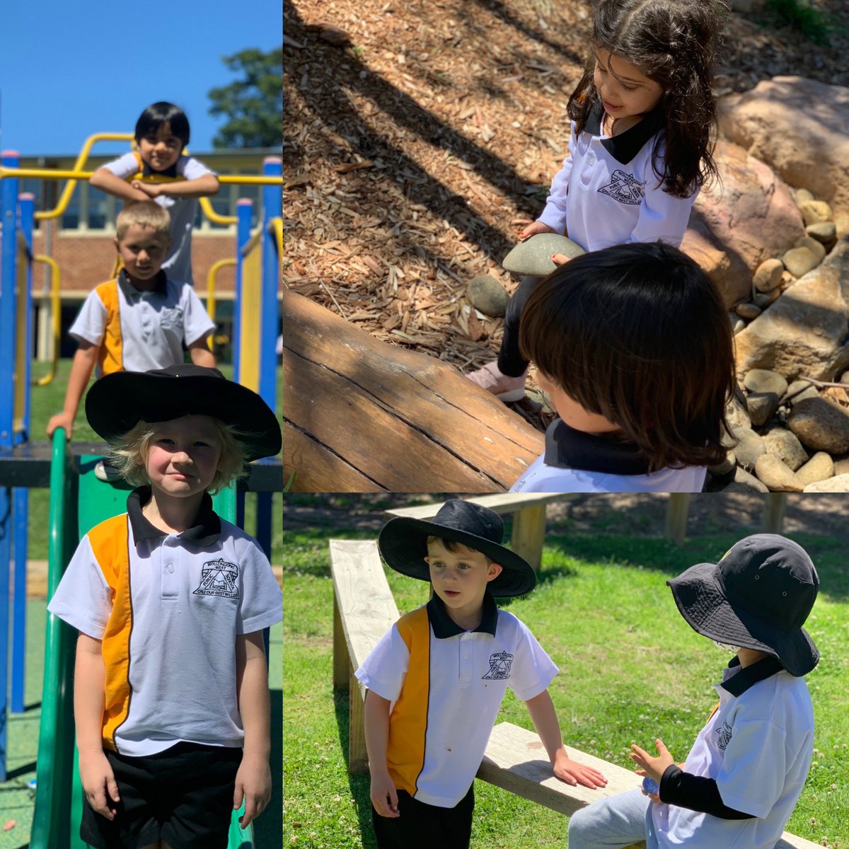 DuncanTeach tweet media