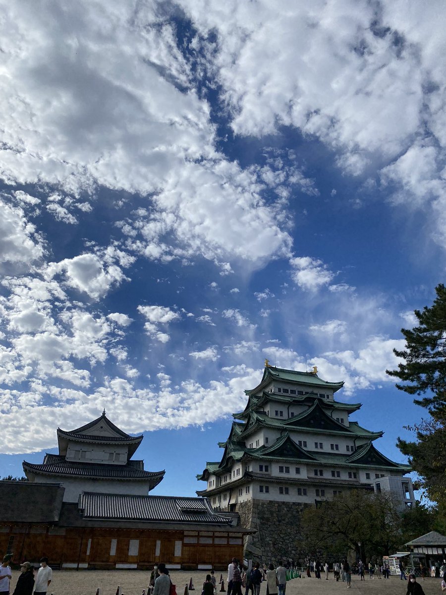 名古屋城！
綺麗な写真撮れたので載せます