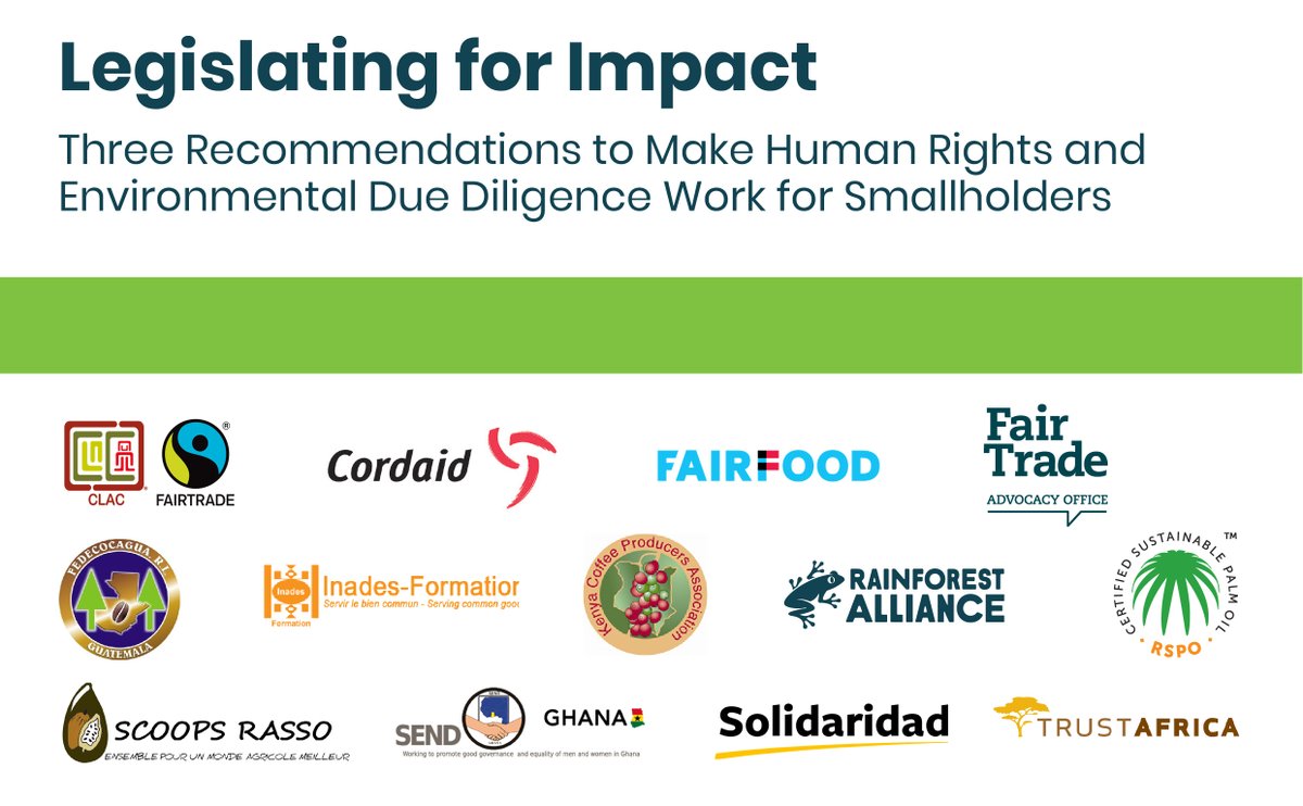 📢We call on the <a href="/EU_Commission/">European Commission</a> to ensure that upcoming #HumanRights and #Environment due diligence legislation is inclusive of smallholder farmers worldwide. 

Check out the 3 key recommendations in our new joint paper👉 bit.ly/3BVyJFH 🌳