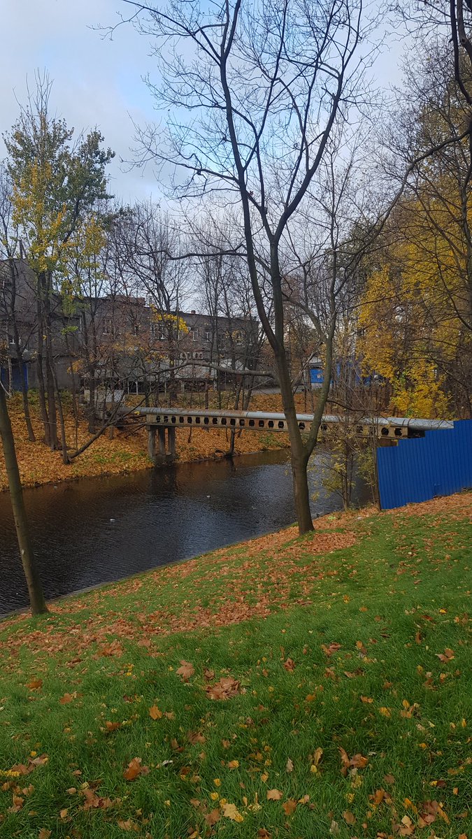 Autumn in Saint-Petersburg is something unique😊👨‍🎨#shot#camera#autumninspb#spb#saint-petersburg