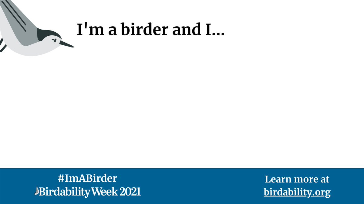 Birdability tweet media