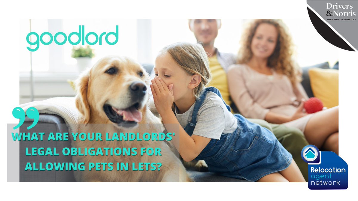 Did you know <a href="/RelocationAgent/">Relocation Agent Network</a> that there is a 120% increase in demand for pet-friendly rental properties? Thanks <a href="/sogoodlord/">Goodlord</a> for sharing the legal requirements landlords should know about > bit.ly/3BNyA7f  that is super useful for all our #ReloAgent colleagues