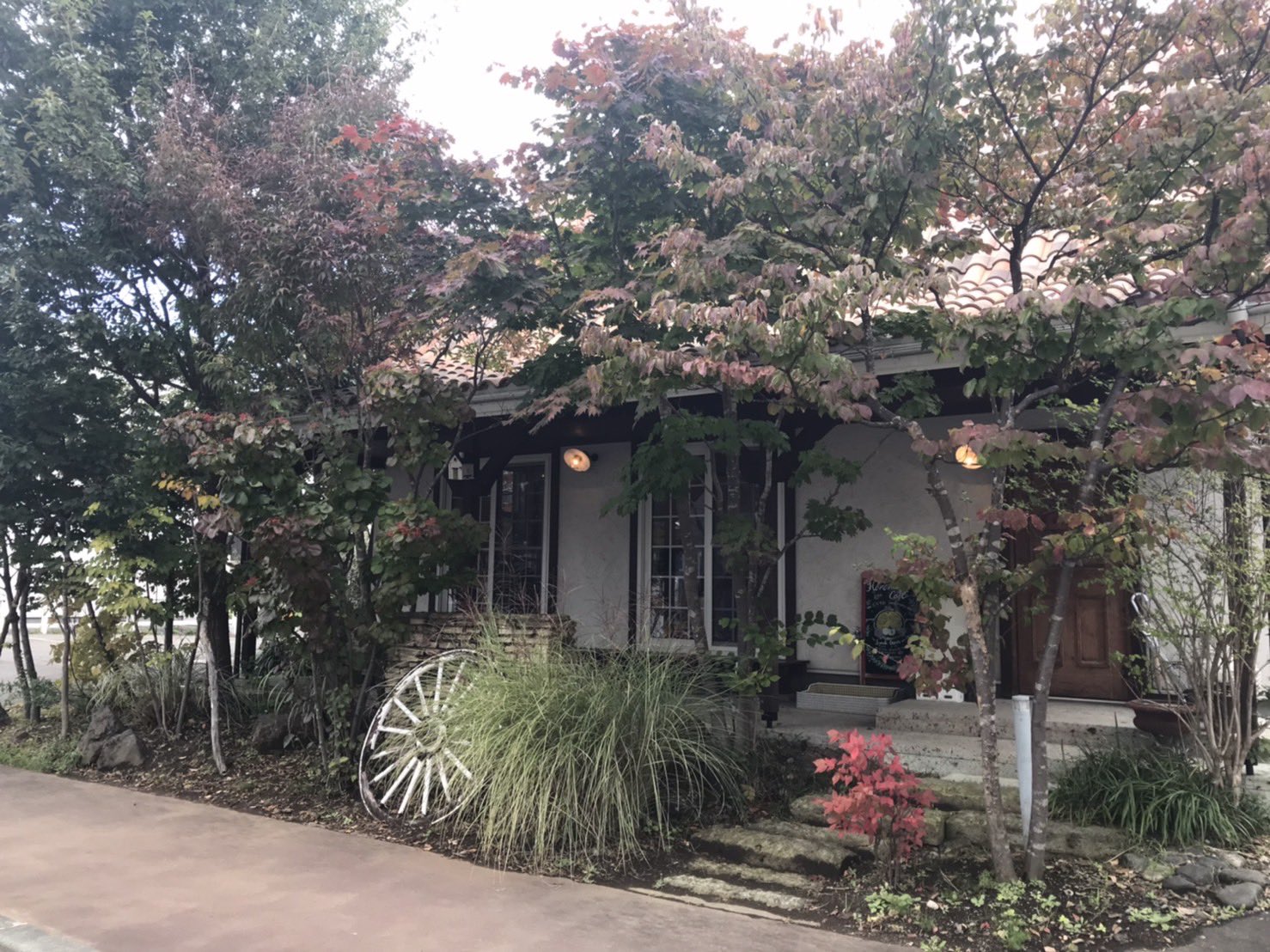 花水木カフェ Twitter Search Twitter