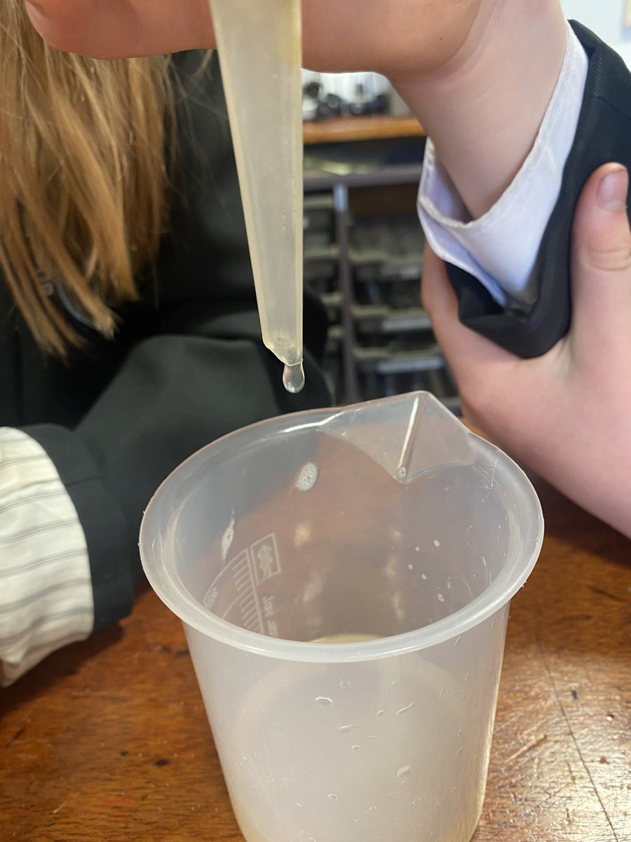 boclairphysics's tweet photo. Some great filtering work by our S1 scientists🥼🥽🚰 
#Science #filtering https://t.co/Tr4w393KJt