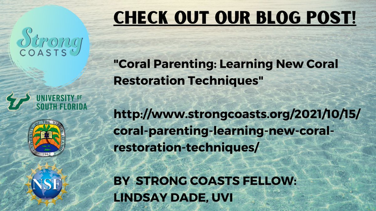 Strong Coasts tweet media