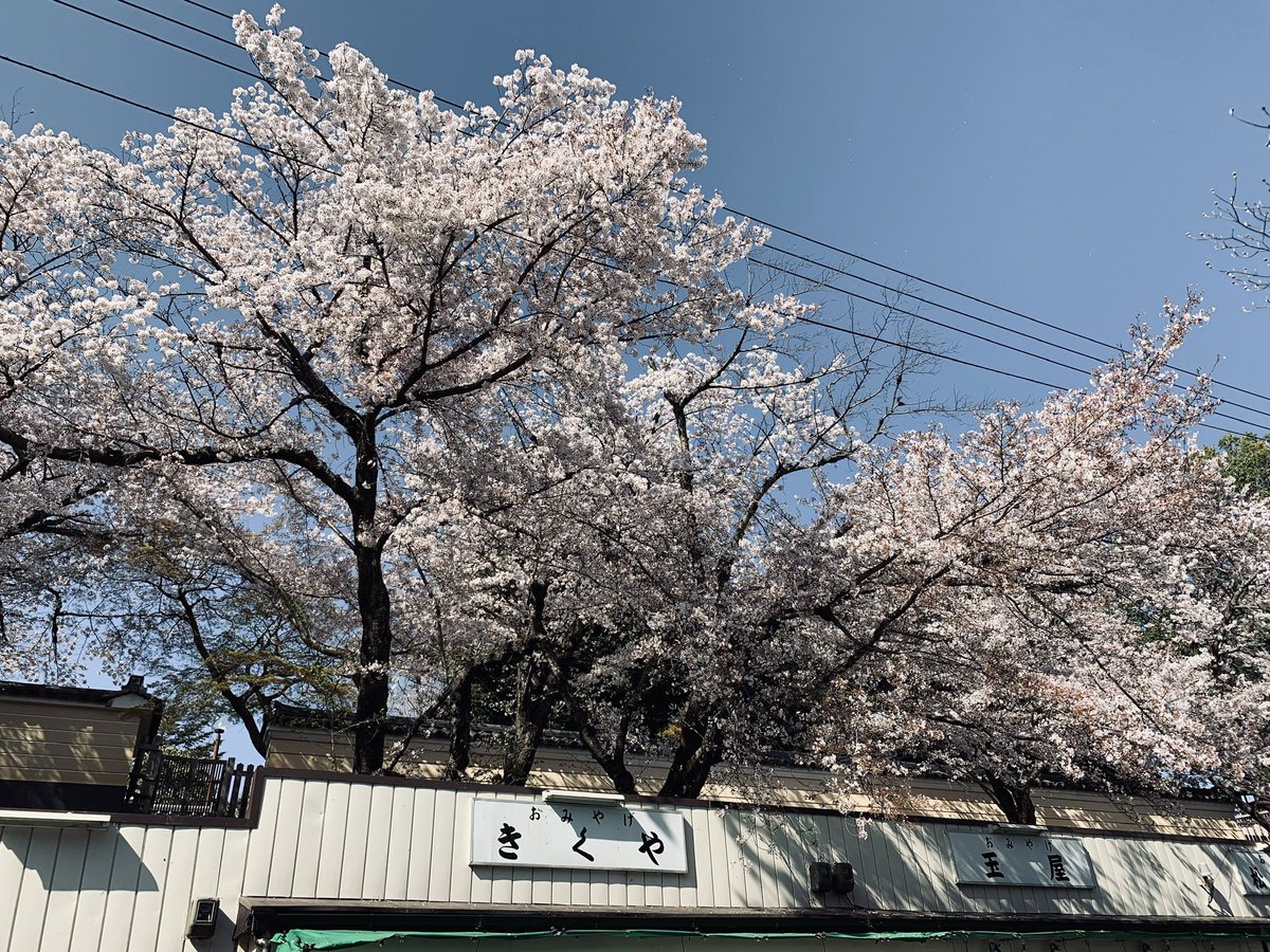 limerencelxa's tweet photo. 旅行随摄 https://t.co/PyLCxaWSaq
