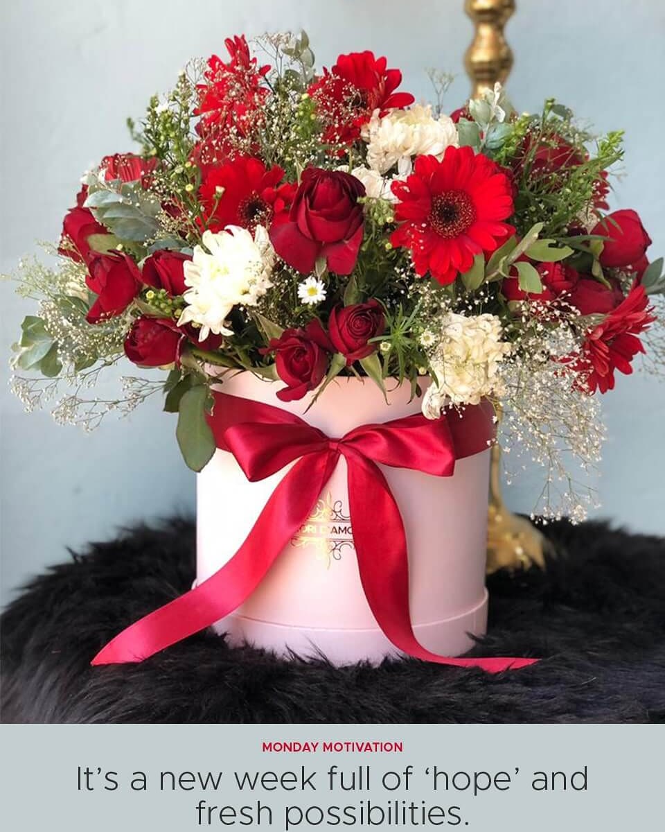 Happy Monday!

#fioridamore
#florist
#flowershop
#flowers
#freshflowers
#hatboxflowers
#gift
#giftshop
#giftideas
#bespokegifts
#personalisedgift
#perfectgift
#birthday
#anniversary
#wedding
#engagement
#alloccasion
#delivery
#harare
#zimbabwe